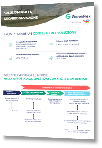 GreenFlex_immagine_Soluzioni_per_la_decarbonizzazione
