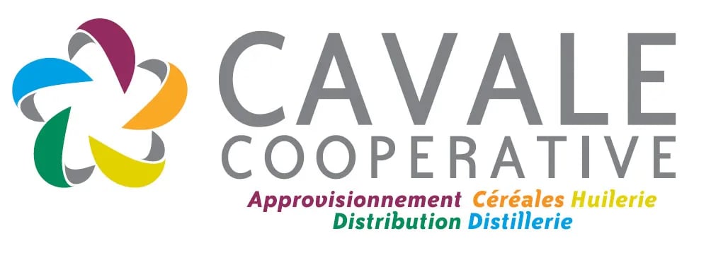 La_Cavale_Chaudiere_Biomasse La_Cavale_Chaudiere_Biomasse